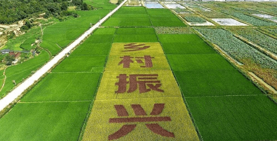 人民日?qǐng)?bào)“鄉(xiāng)村振興計(jì)劃”為何看上他？_直播_行業(yè)_農(nóng)產(chǎn)品